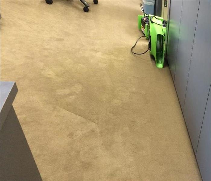 beige carpet, dried with green air mover