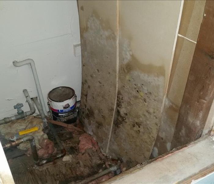 room with walls and flooring covered in mold damage